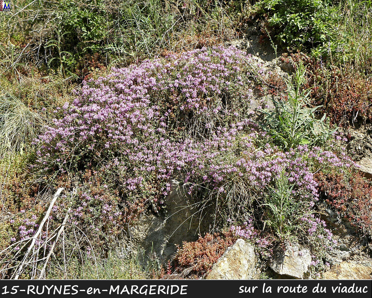 15RUYNES-MARGERIDE_viaduc_202.jpg