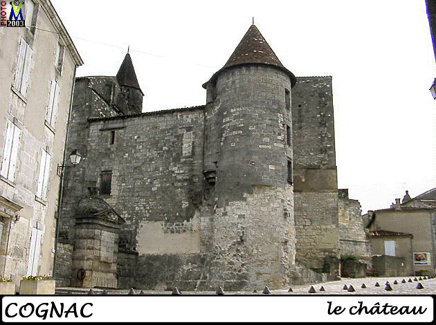 16COGNAC_chateau_100.jpg