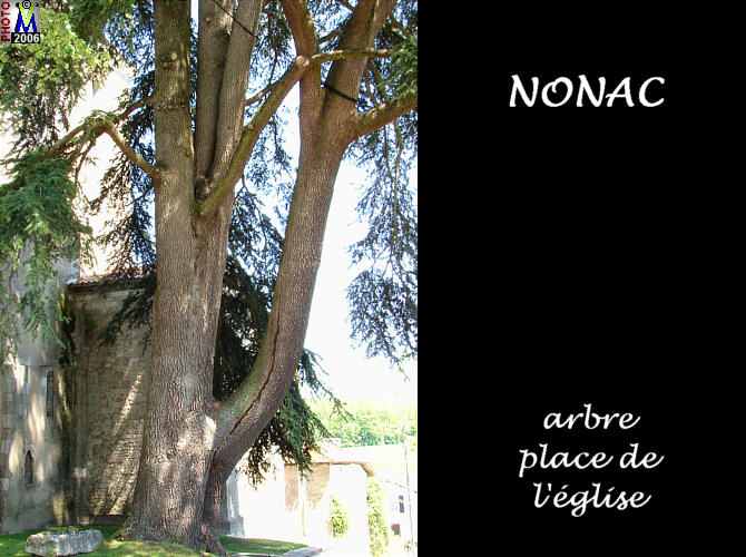 16NONAC arbre 100.jpg