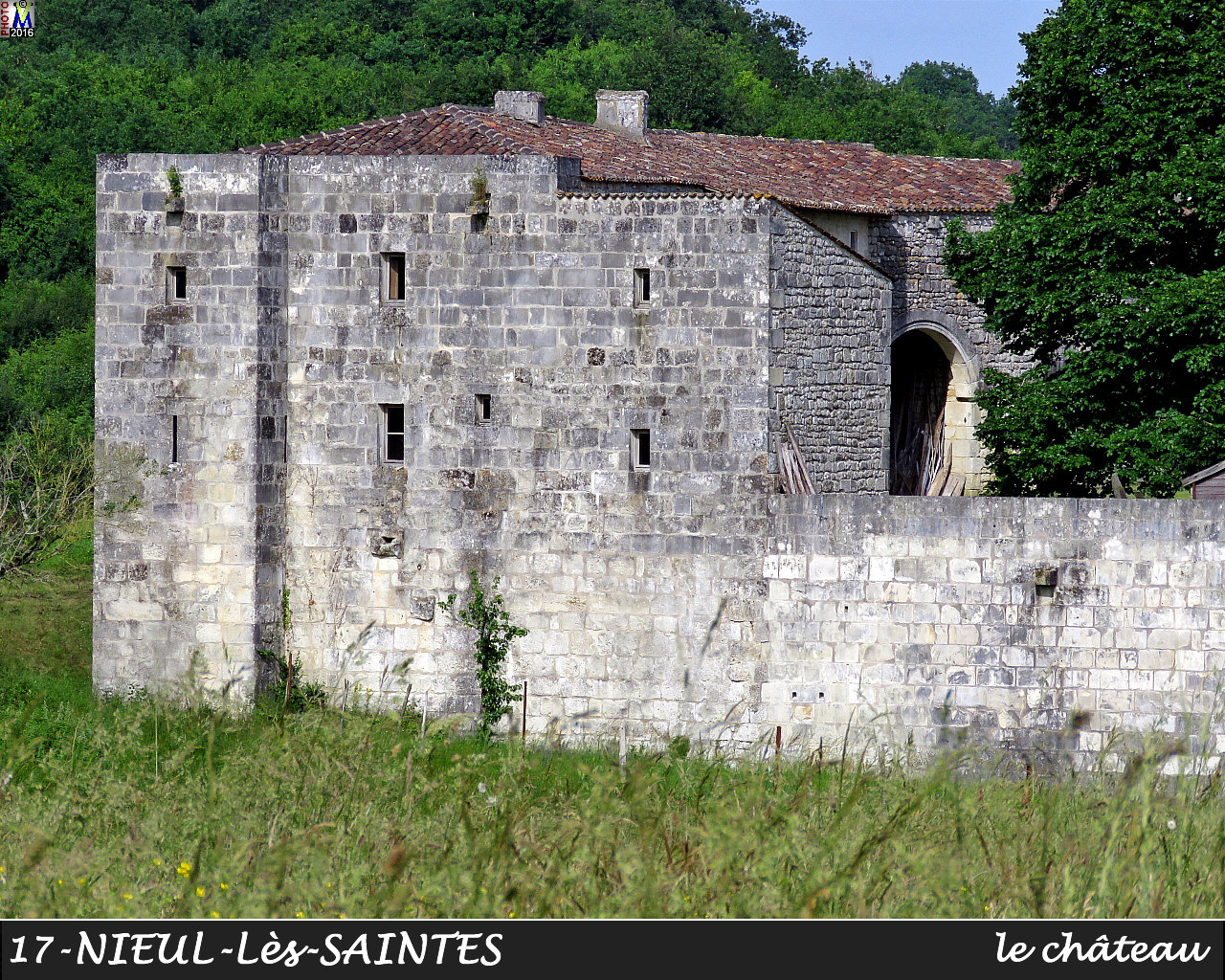 17NIEUL-SAINTES_chateau_1004.jpg