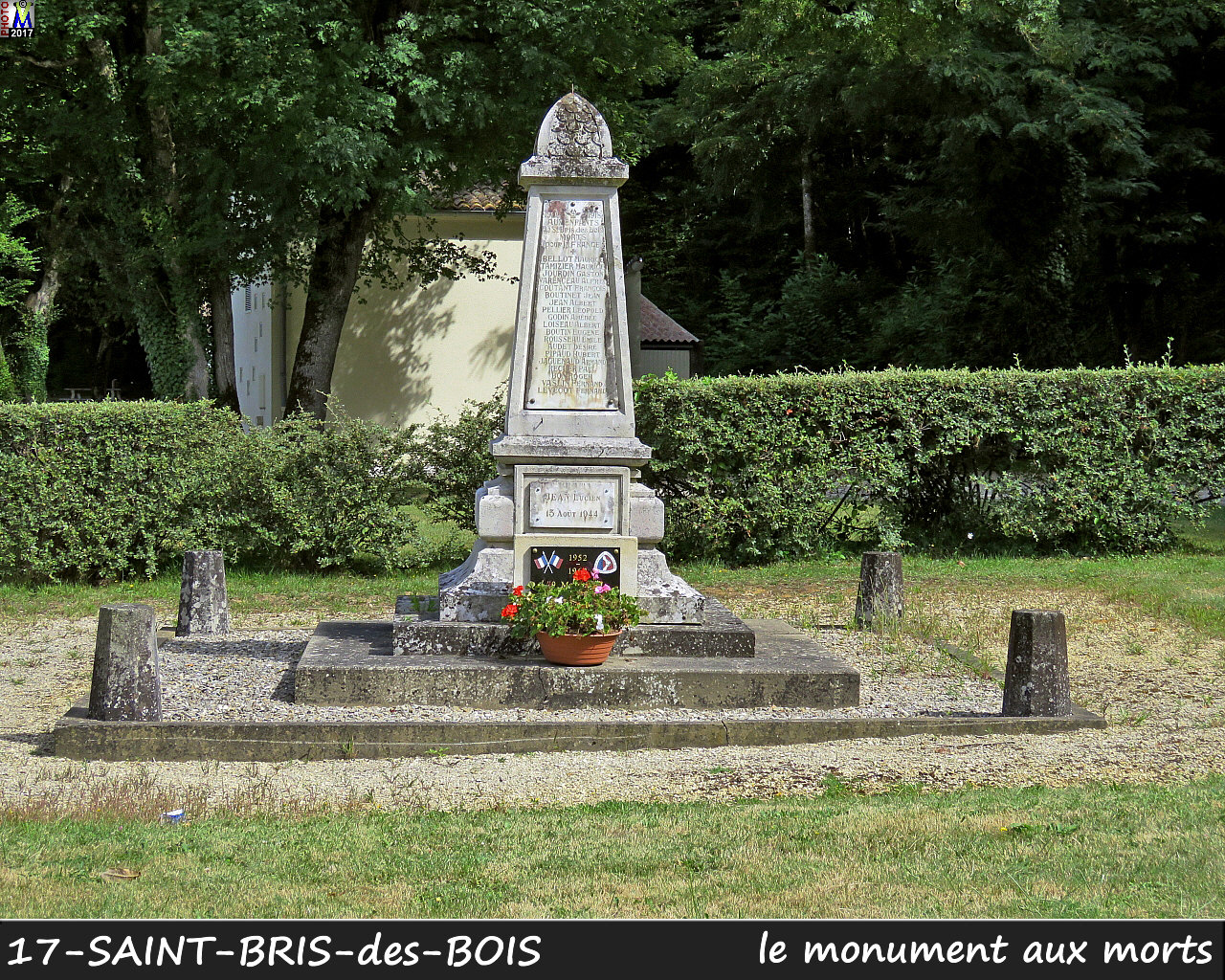 17StBRIS-BOIS_morts_1000.jpg