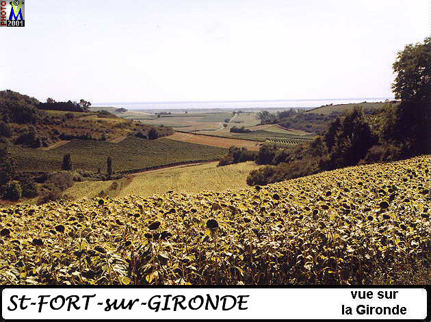 17StFORT-GIRONDE paysage 190.jpg