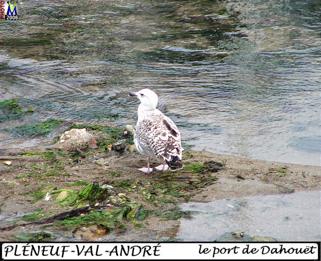22VAL-ANDRE dahouet port 110.jpg