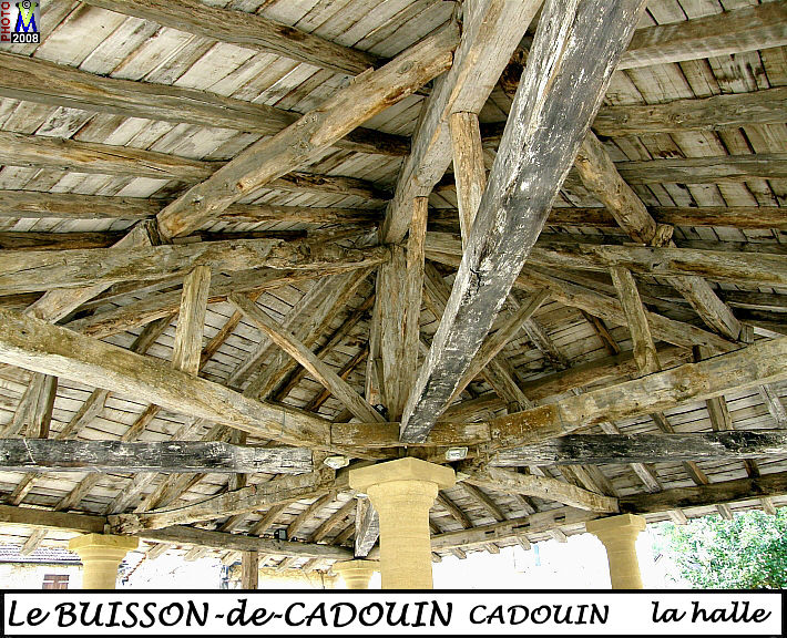 24BUISSON-CADOUIN-C_halle_200.jpg