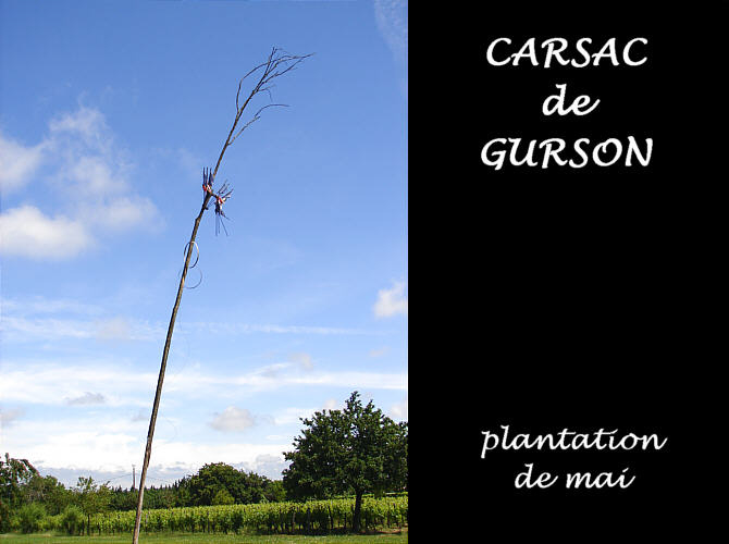 24CARSAC-CURSON plantation 100.jpg