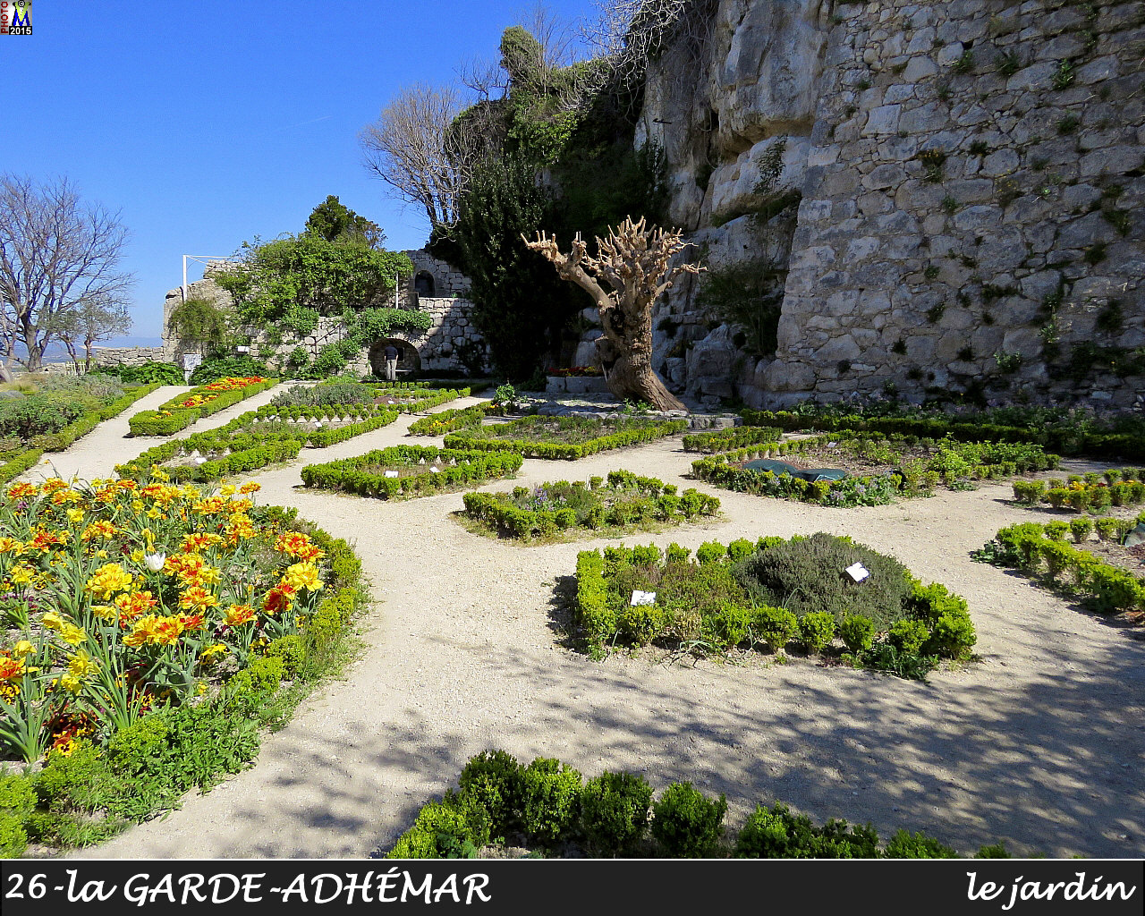 26GARDE-ADHEMAR_jardin_104.jpg