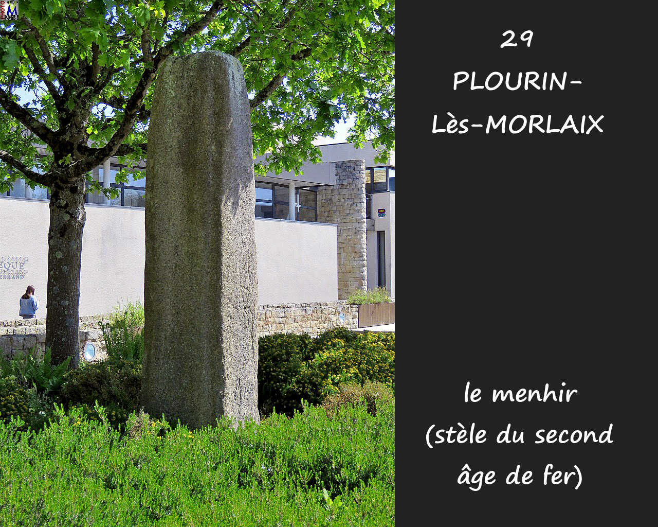 29PLOURIN-MORLAIX_menhir_100.jpg