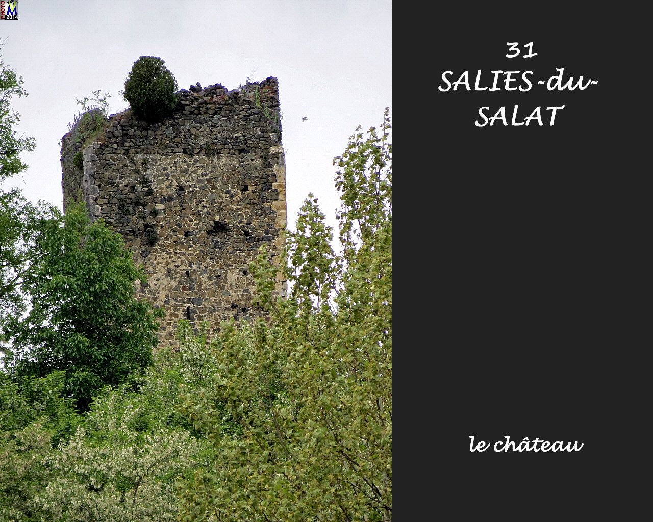 31SALIES-SALAT_chateau_100.jpg