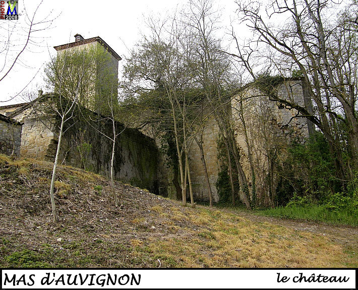 32MAS-AUVIGNON_chateau_102.jpg