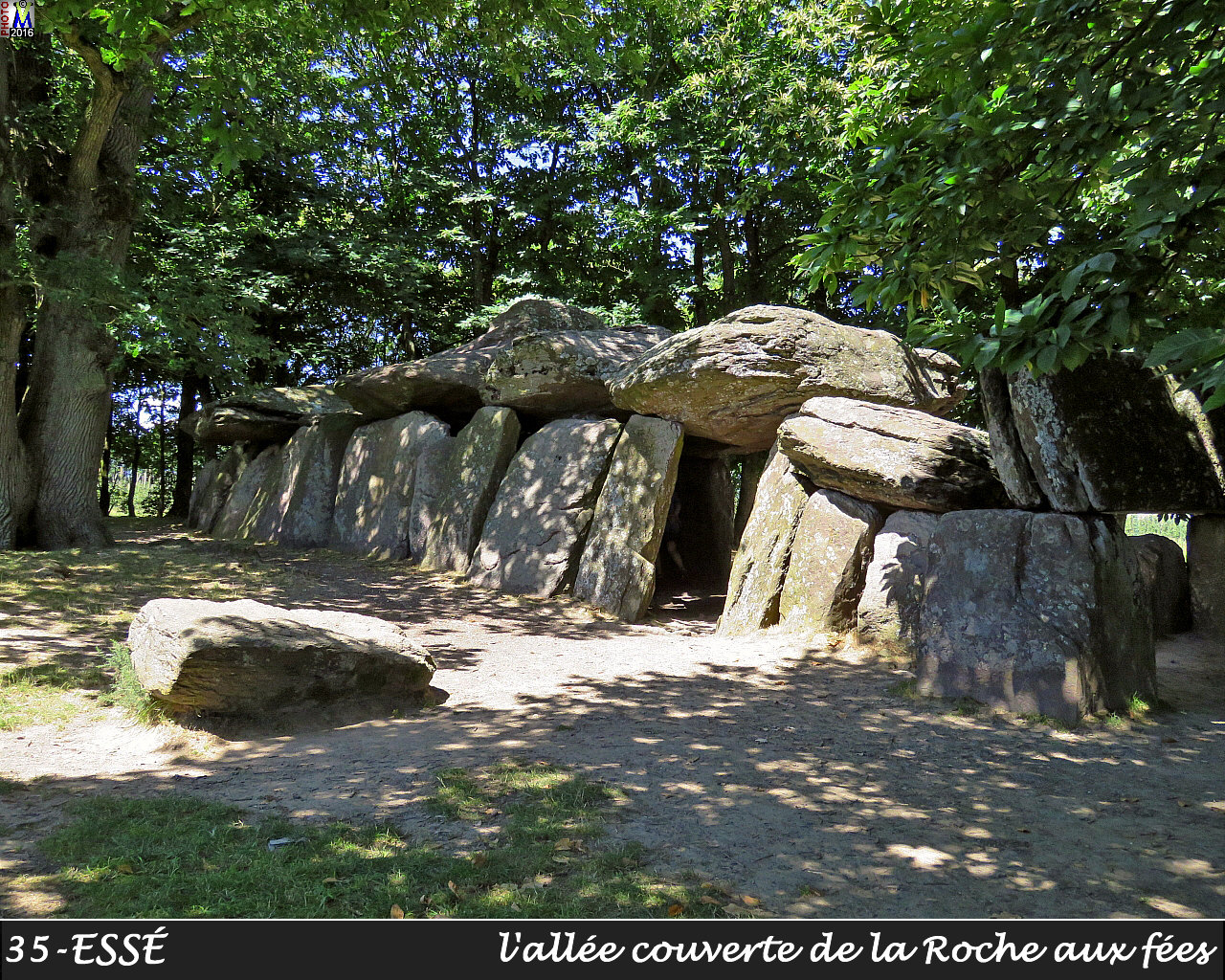 35ESSE_dolmen_1002.jpg