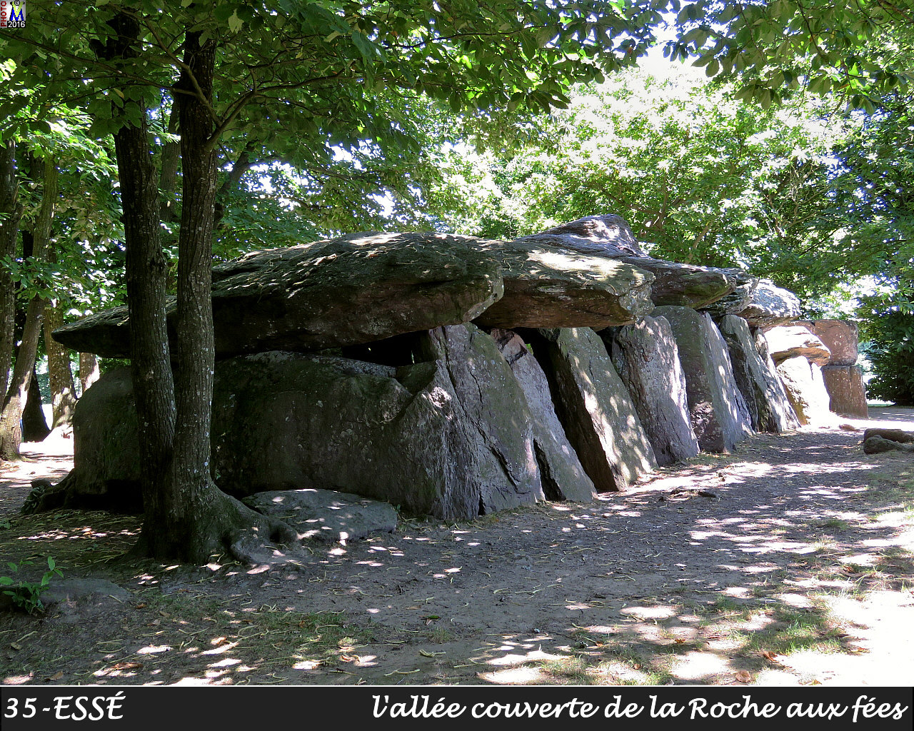 35ESSE_dolmen_1004.jpg
