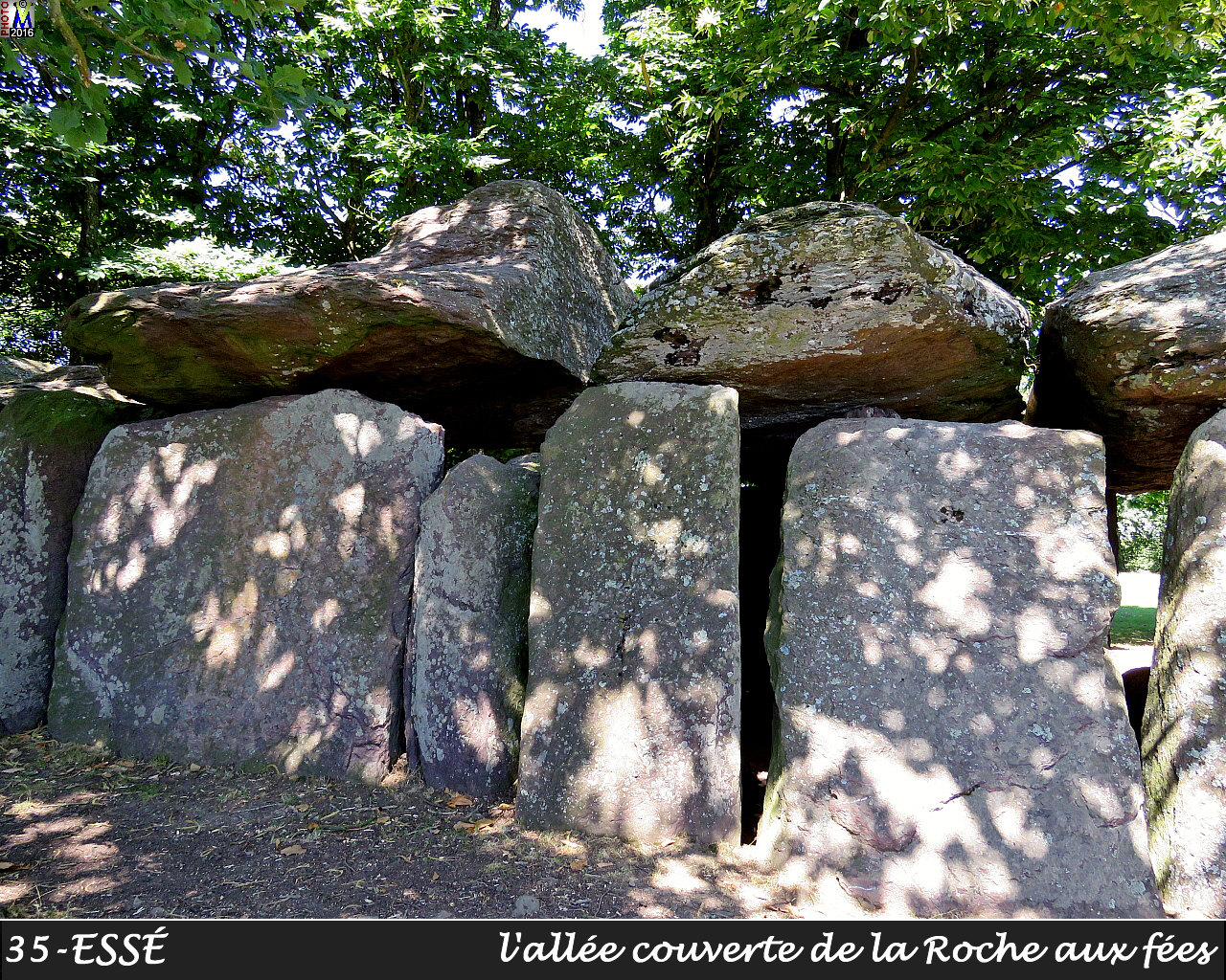 35ESSE_dolmen_1008.jpg