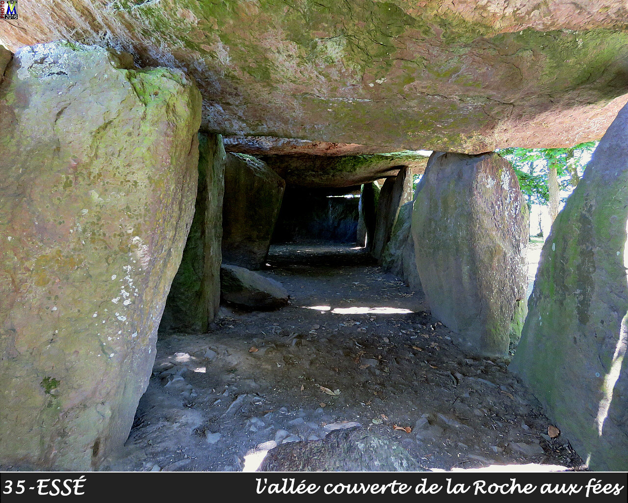 35ESSE_dolmen_1014.jpg