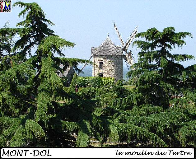 35MONT-DOL moulin 100.jpg