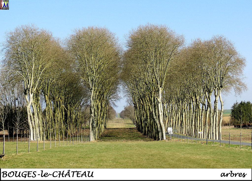 36BOUGES-CHATEAU_arbres_100.jpg
