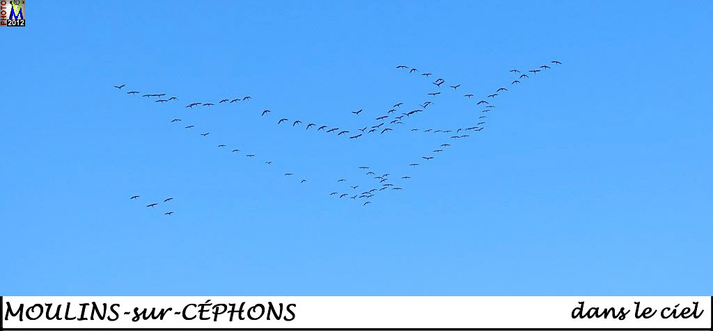 36MOULINS-CEPHONS_oiseaux_100.jpg