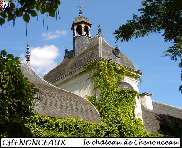 37CHENONCEAUX_chateau_802.jpg