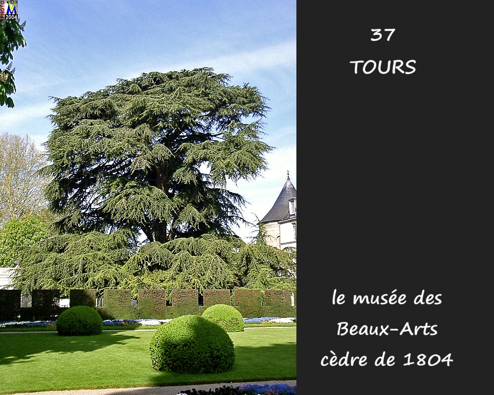 37TOURS_musee_beaux_arts_052.jpg