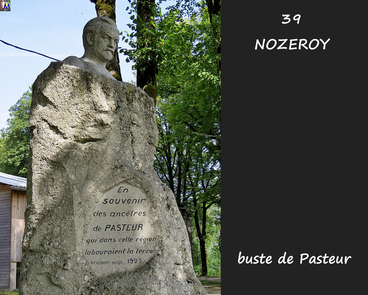 39NOZEROY_Pasteur_100.jpg