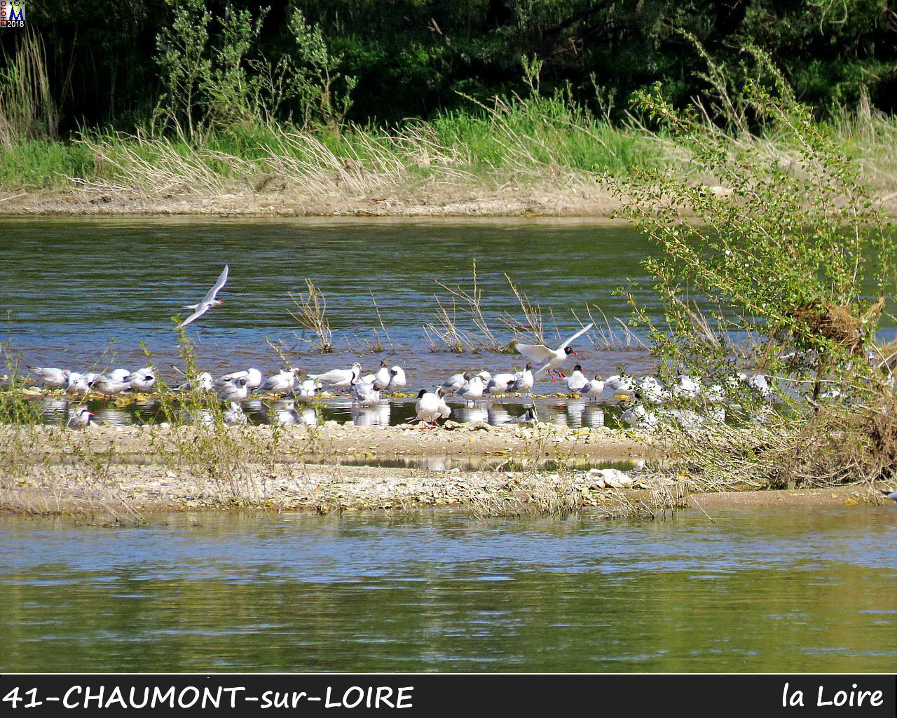 41CHAUMONT-LOIRE_Loire_1018.jpg