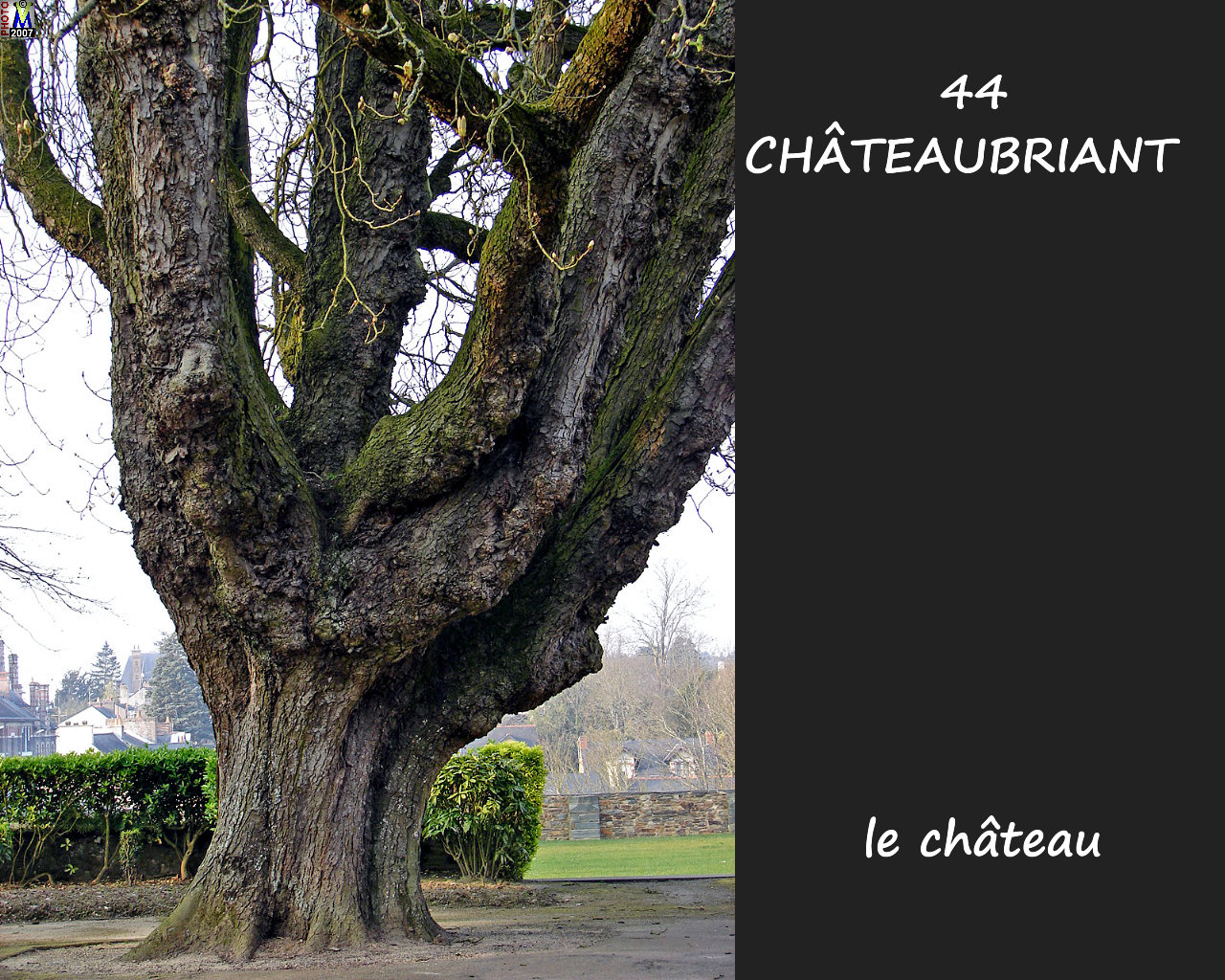 44CHATEAUBRIANT_chateau_248.jpg