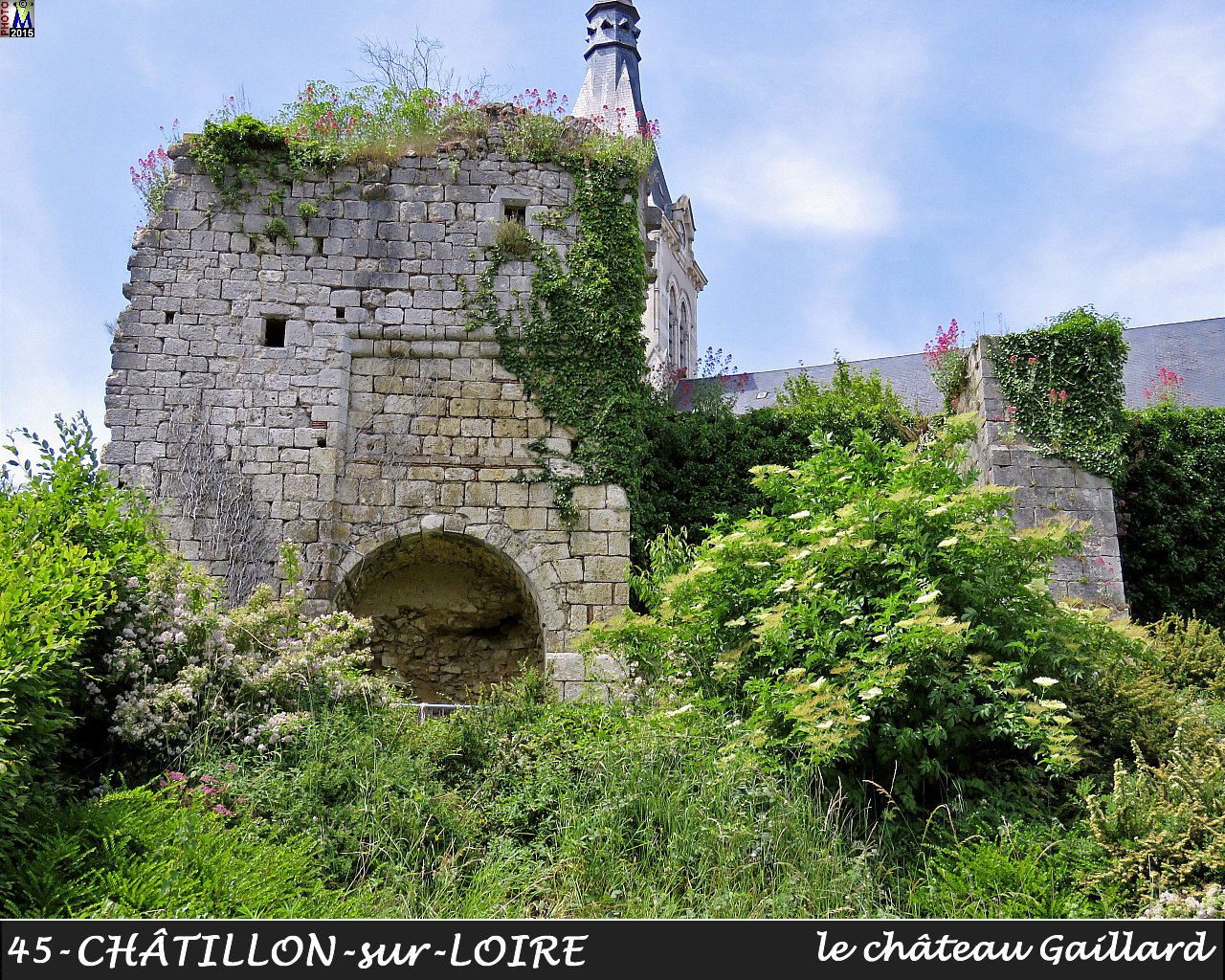 45CHATILLON-LOIRE_chateau_100.jpg