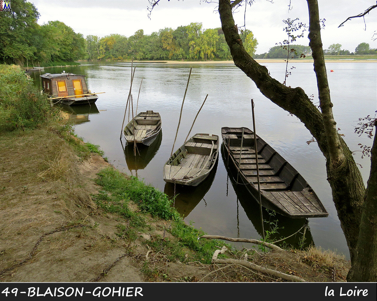 49BLAISON-GOHIER_Loire_1002.jpg