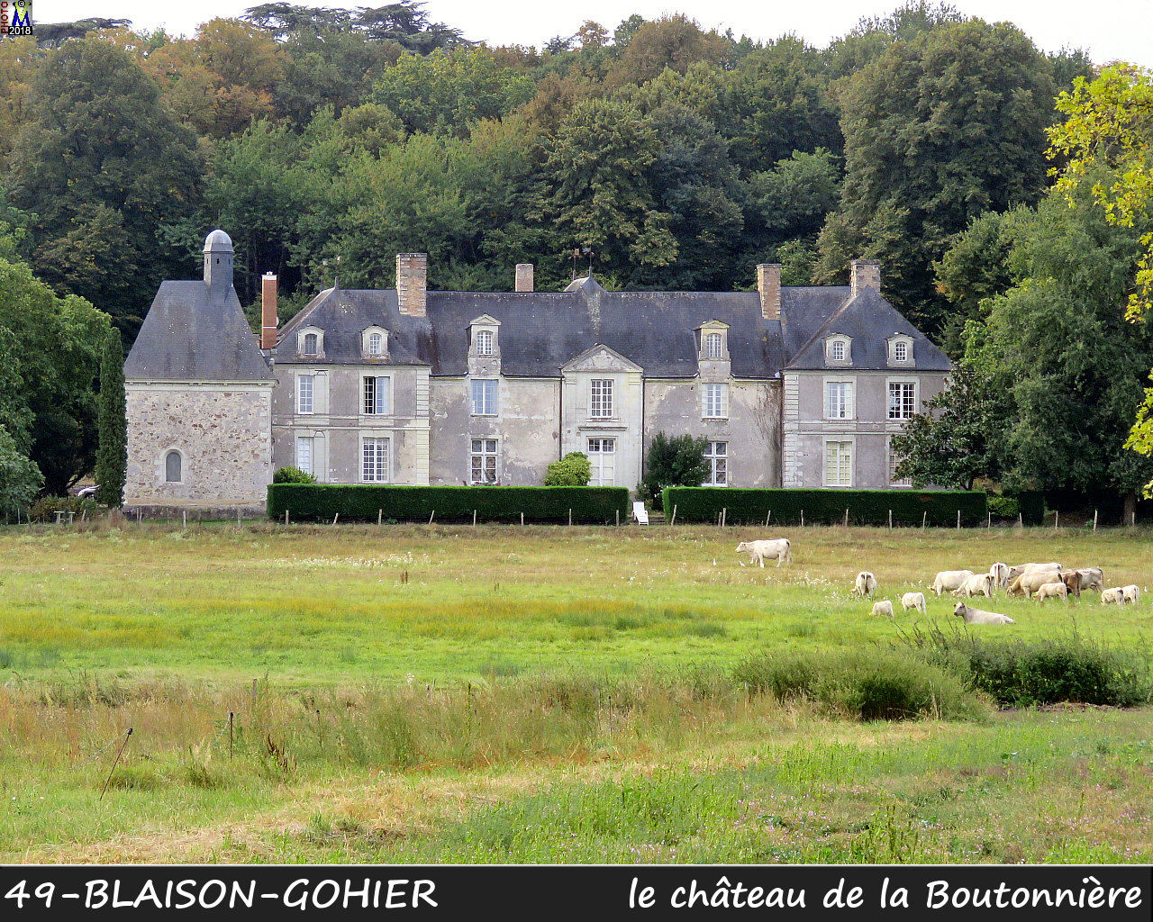 49BLAISON-GOHIER_chateau_1100.jpg