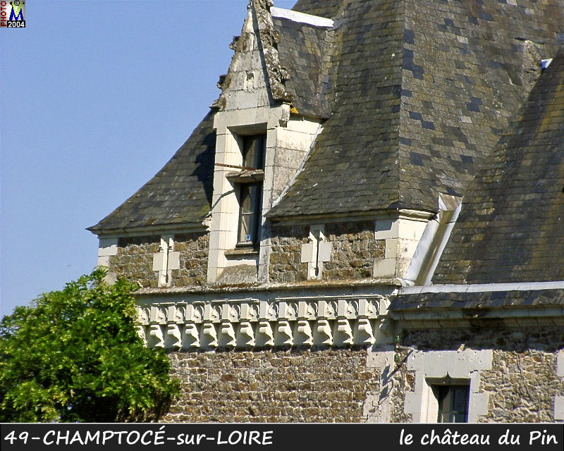 49CHAMPTOCE-LOIRE_chateauPin_104.jpg