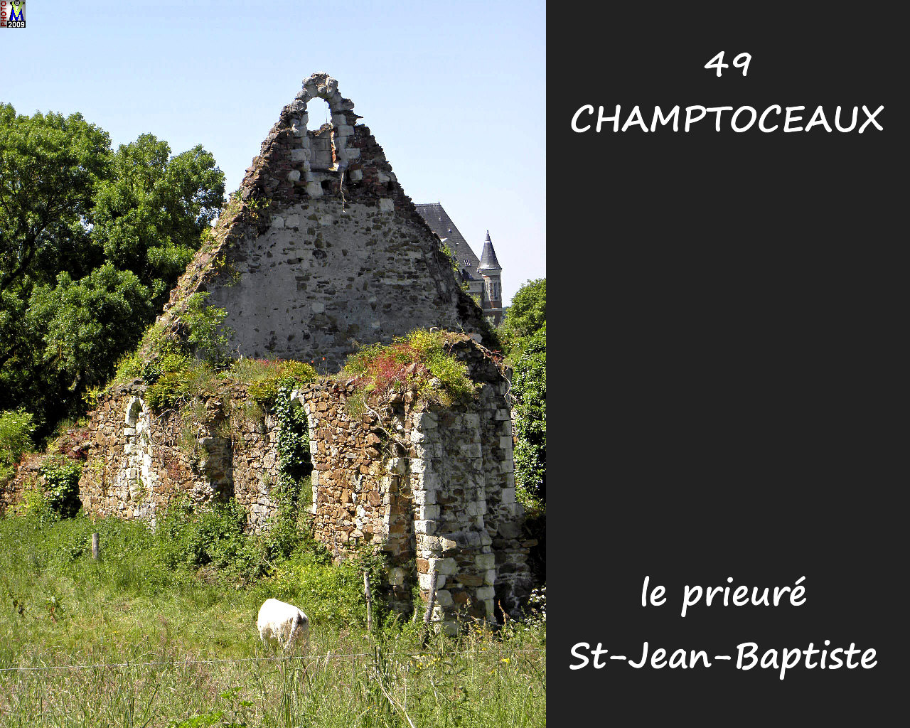 49CHAMPTOCEAUX_chateau_122.jpg