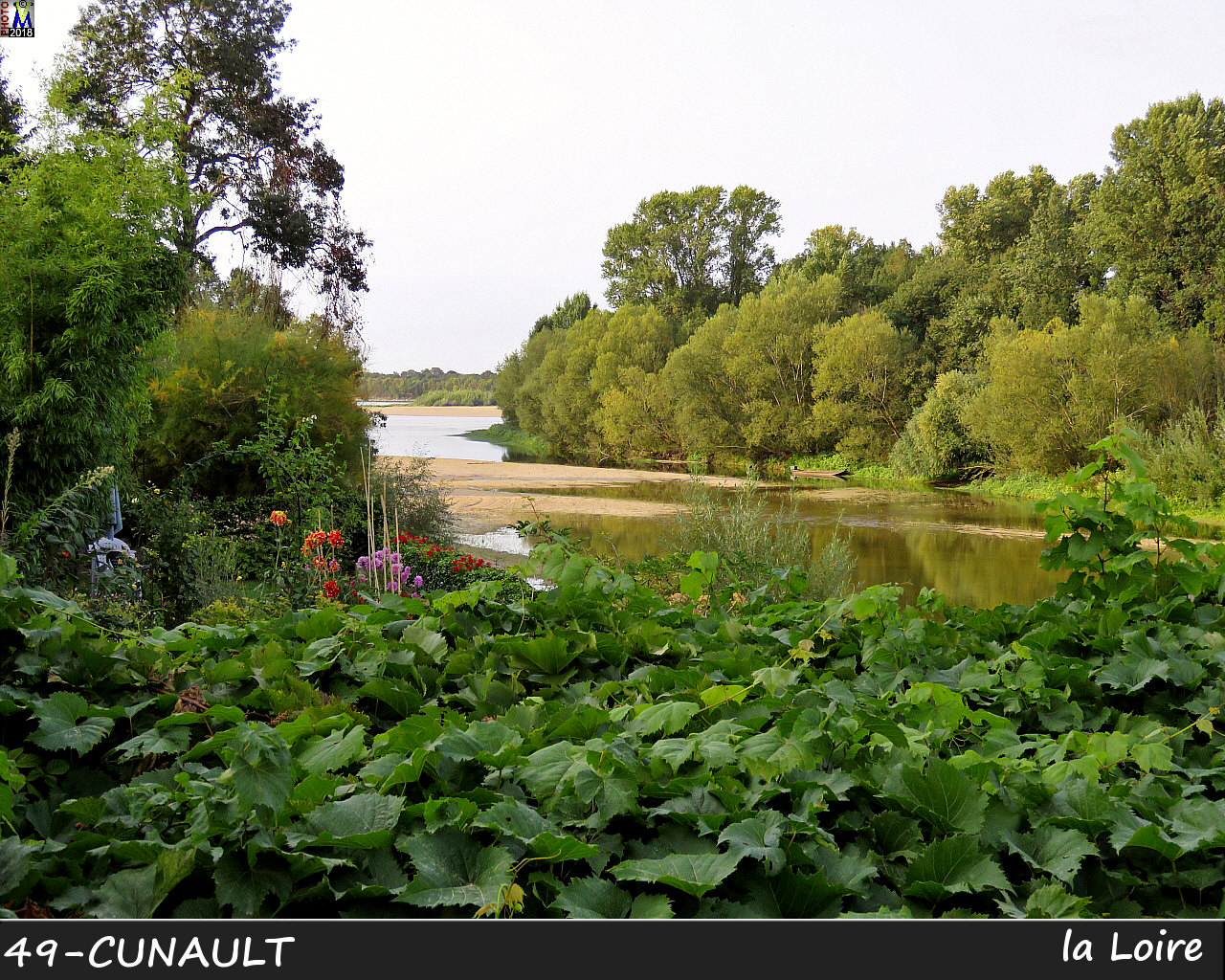49CUNAULT_Loire_1004.jpg
