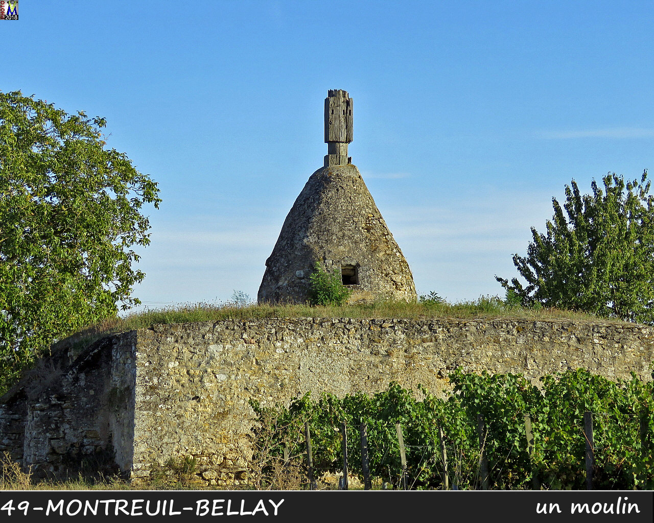 49MONTREUIL-BELLAY_moulin_1100.jpg