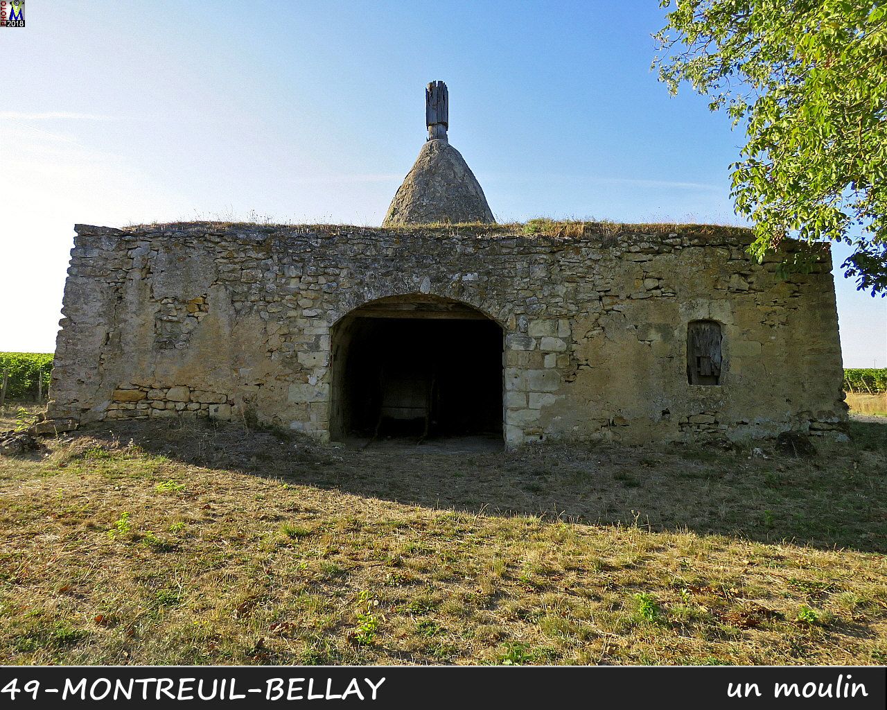 49MONTREUIL-BELLAY_moulin_1102.jpg