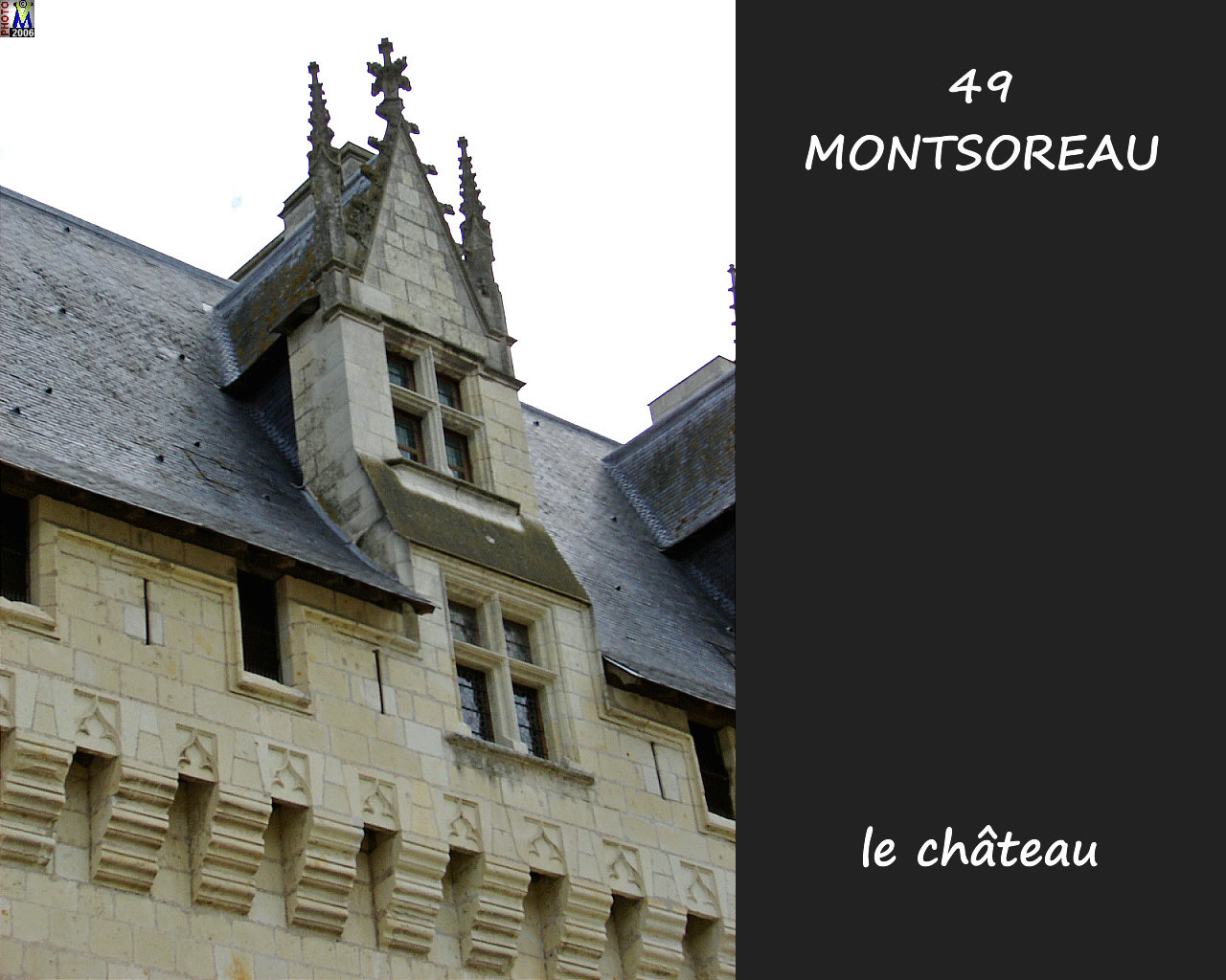 49MONTSOREAU_chateau_110.jpg