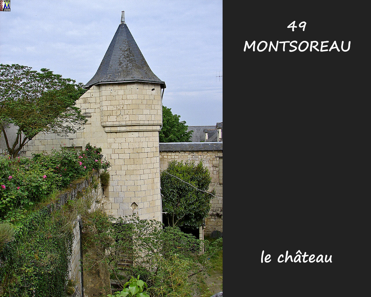 49MONTSOREAU_chateau_122.jpg