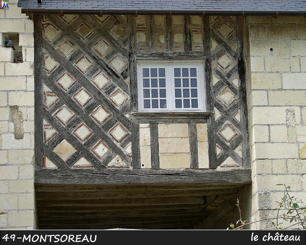 49MONTSOREAU_chateau_124.jpg