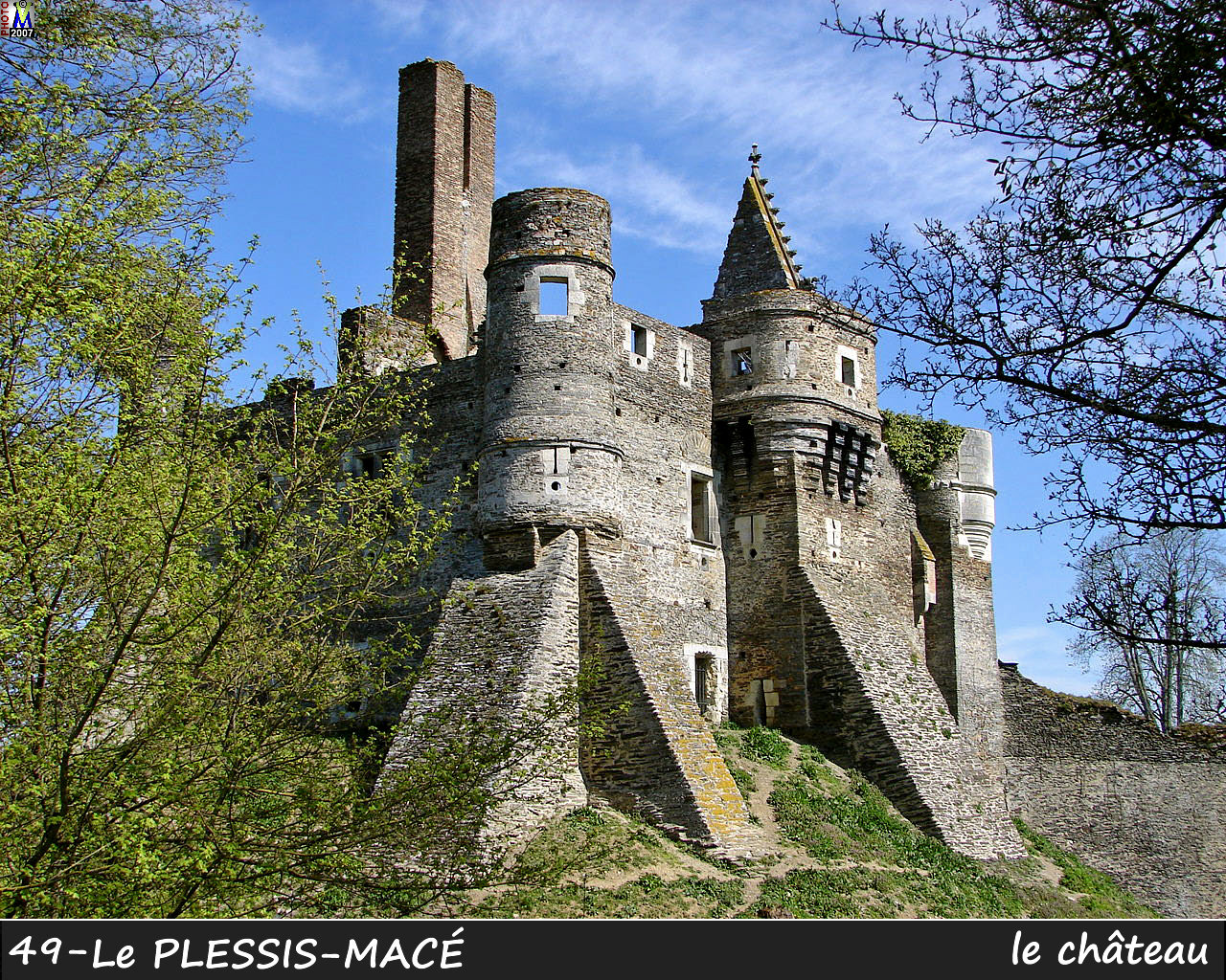 49PLESSIS-MACE_chateau_104.jpg