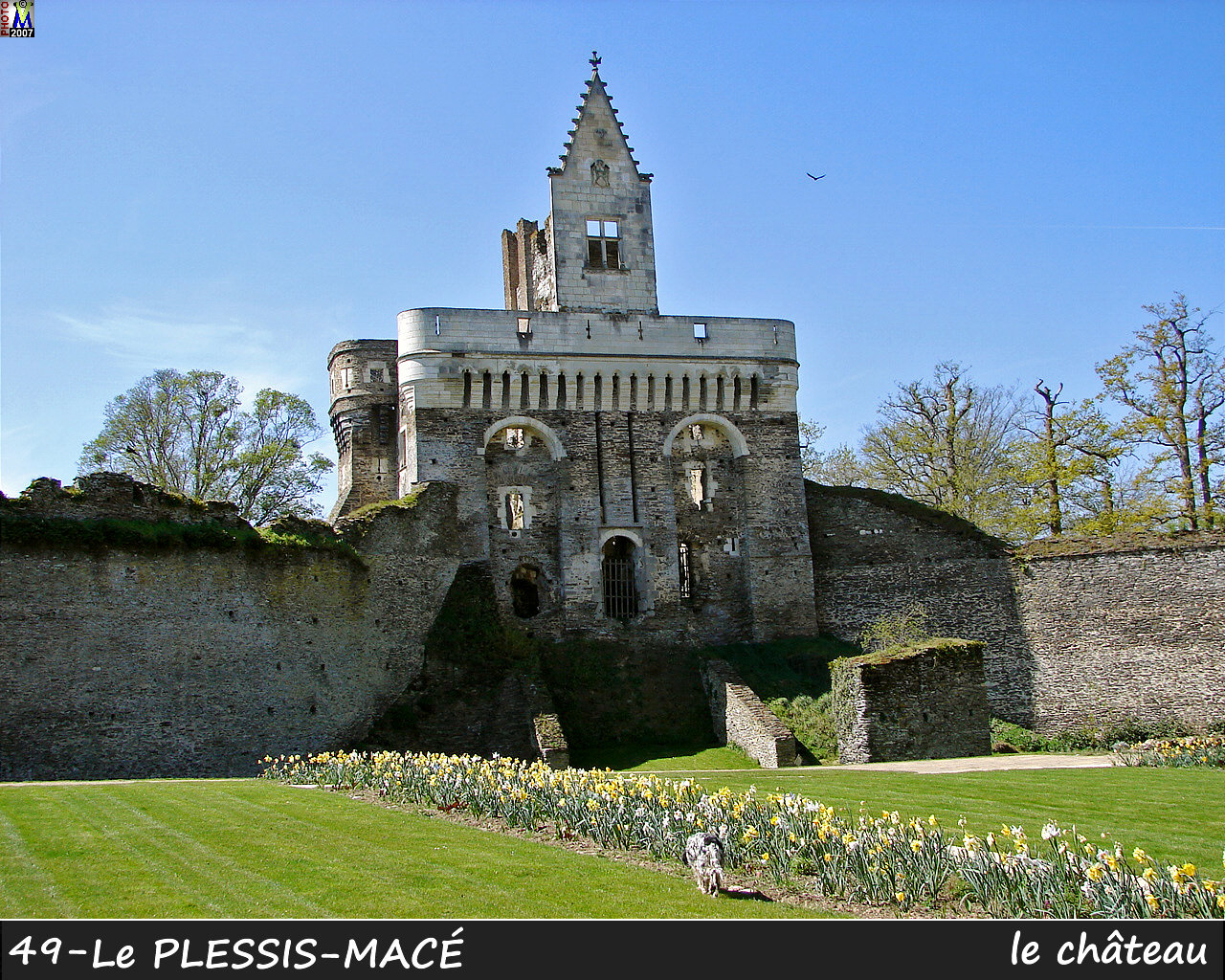 49PLESSIS-MACE_chateau_106.jpg