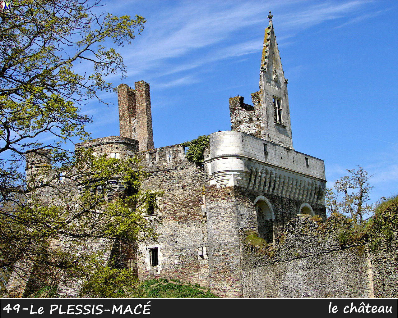 49PLESSIS-MACE_chateau_110.jpg