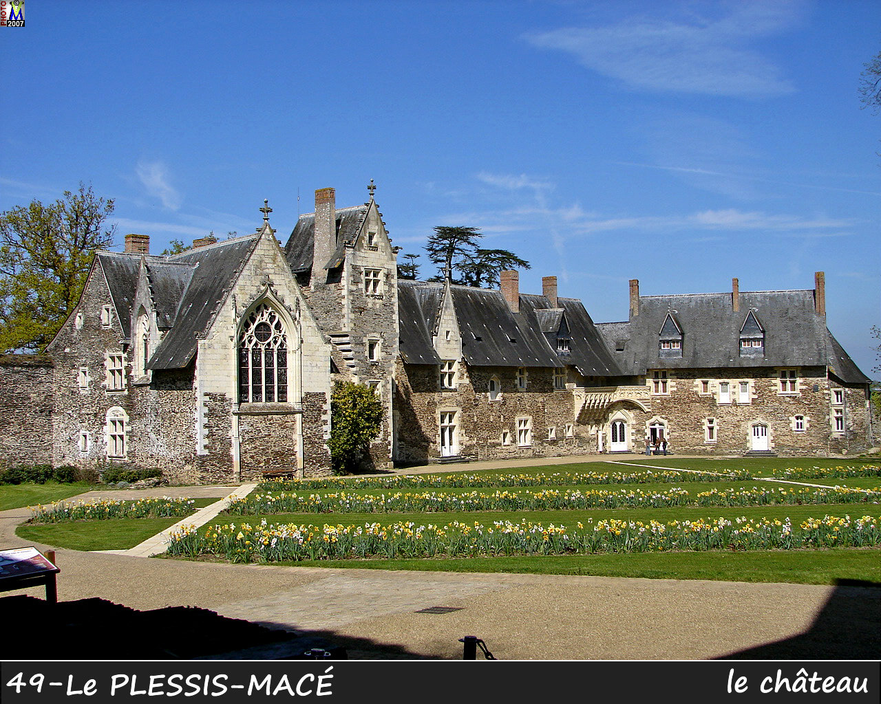 49PLESSIS-MACE_chateau_120.jpg