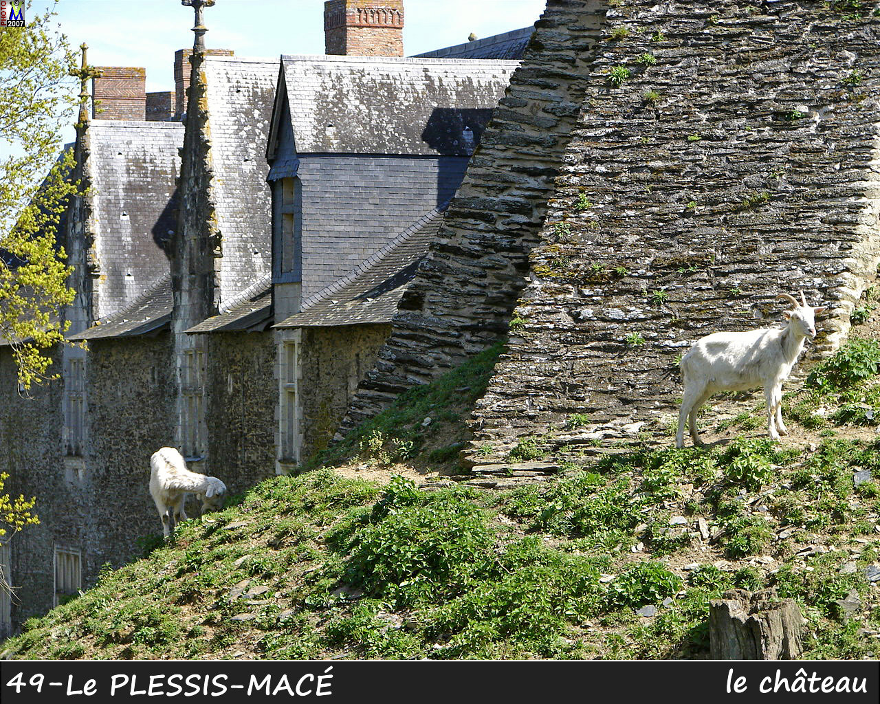 49PLESSIS-MACE_chateau_156.jpg