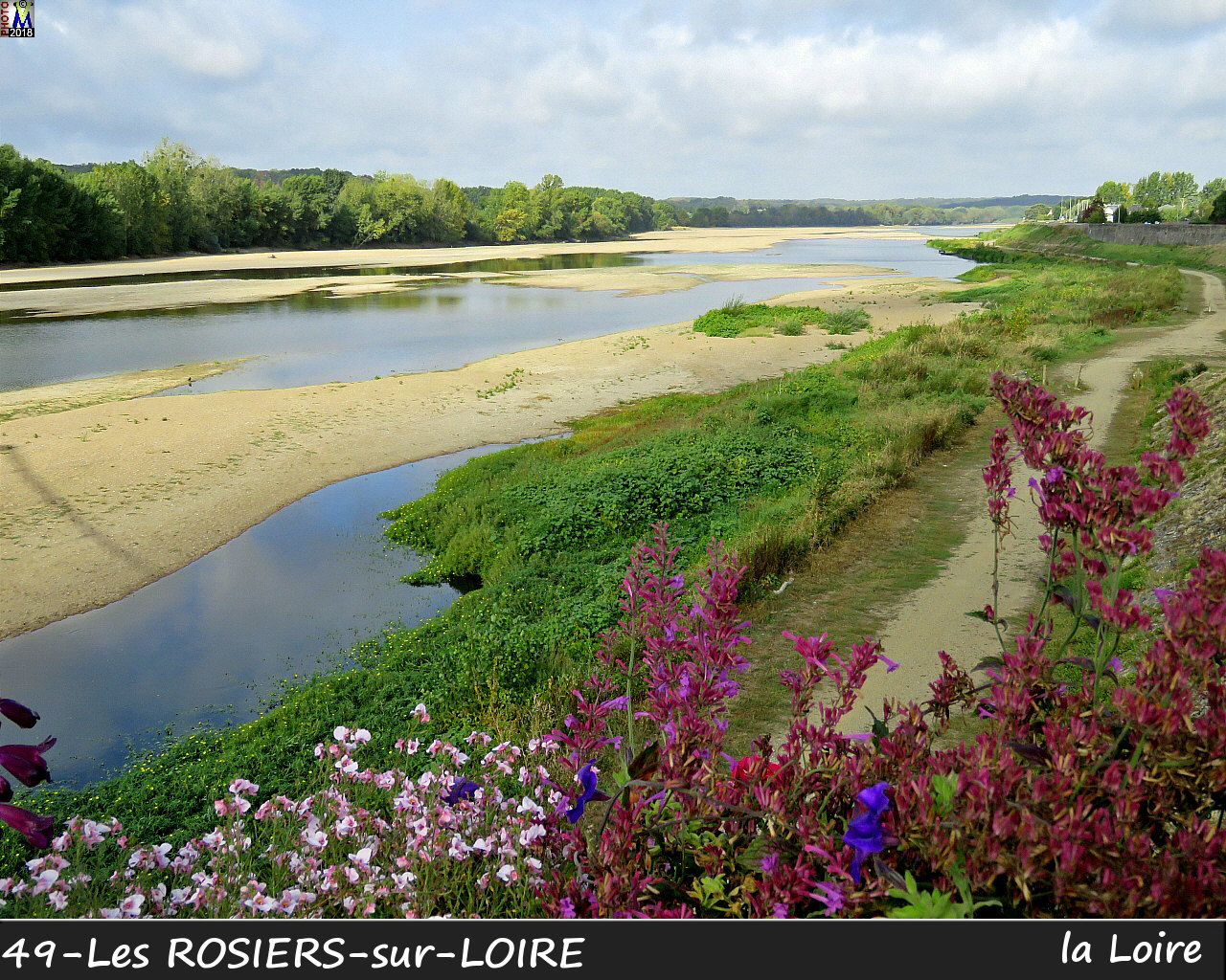 49ROSIERS-LOIRE_Loire_1000.jpg