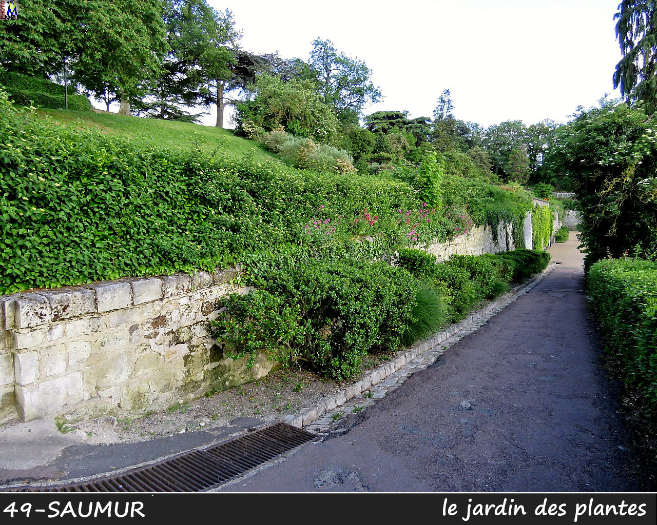 49SAUMUR_jardin_1004.jpg