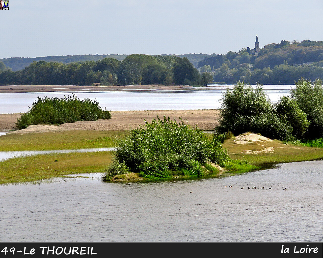 49THOUREIL_Loire_1000.jpg