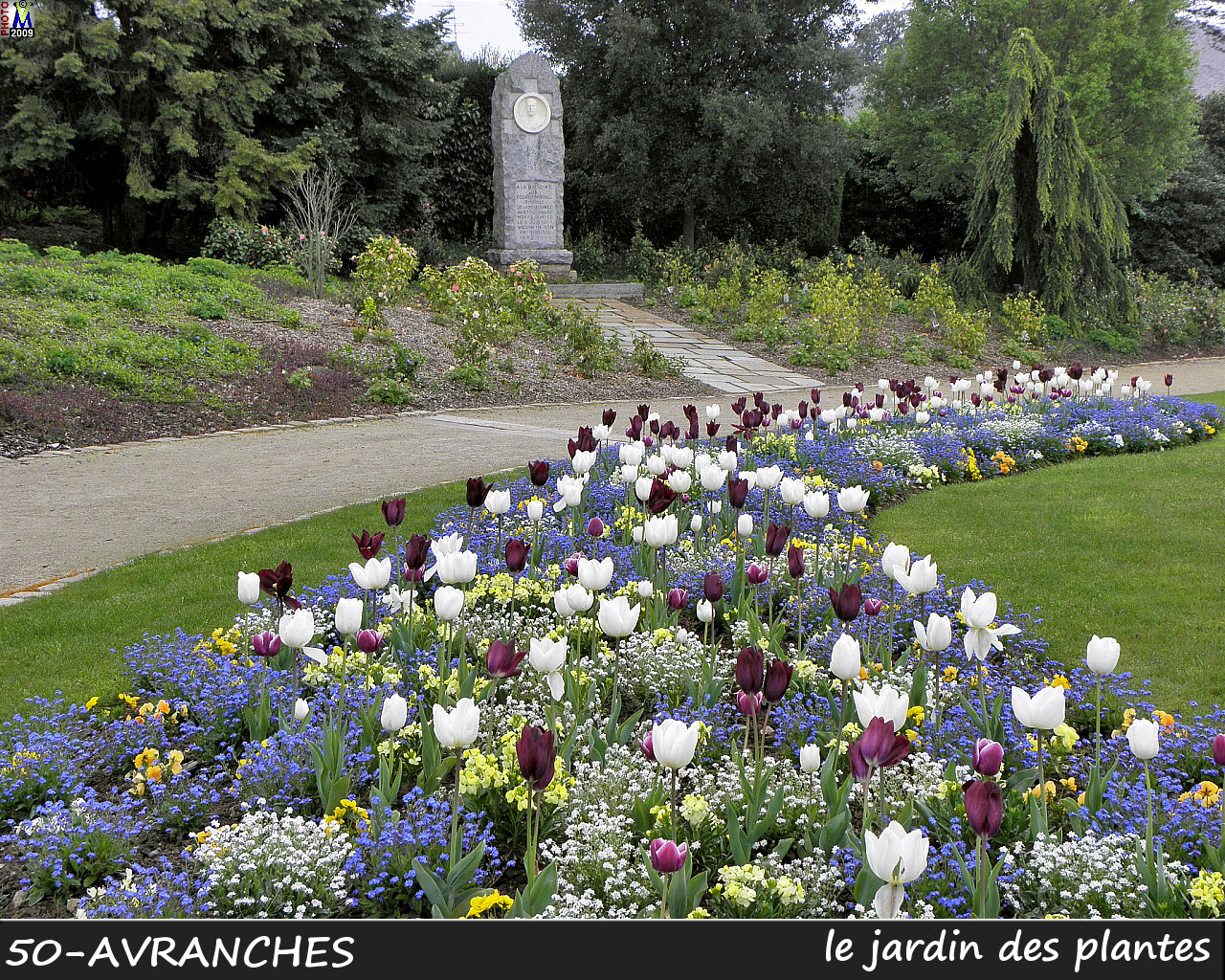 50AVRANCHES_jardin_100.jpg