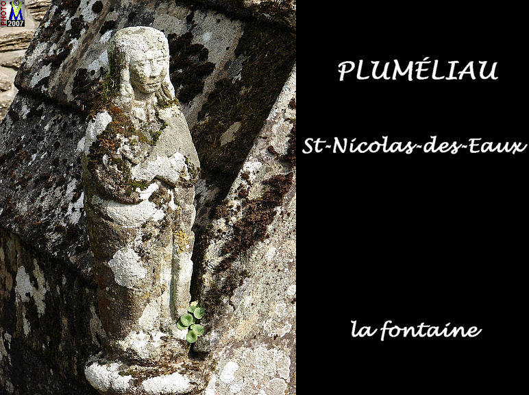 56PLUMELIAU_St-NICOLAS_fontaine_102.jpg