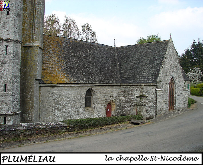 56PLUMELIAU_chapelle-Nico_134.jpg