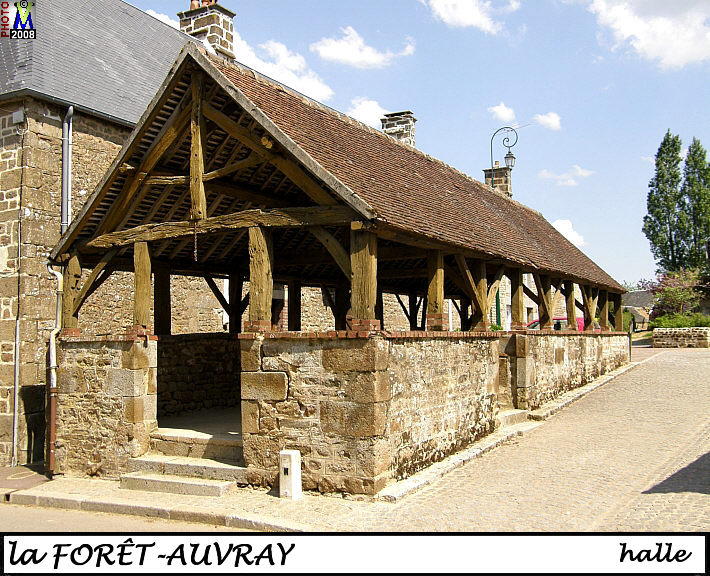 61FORET-AUVRAY_halle_102.jpg