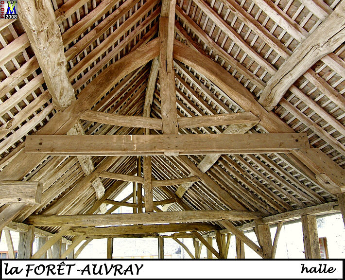 61FORET-AUVRAY_halle_104.jpg
