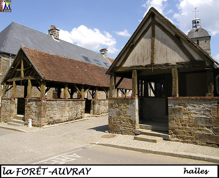 61FORET-AUVRAY_halles_100.jpg